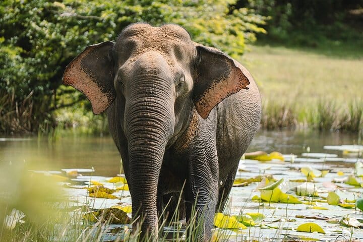 Bundala National Park — view 2