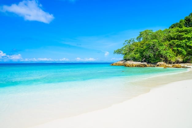 Jungle Beach — view 2