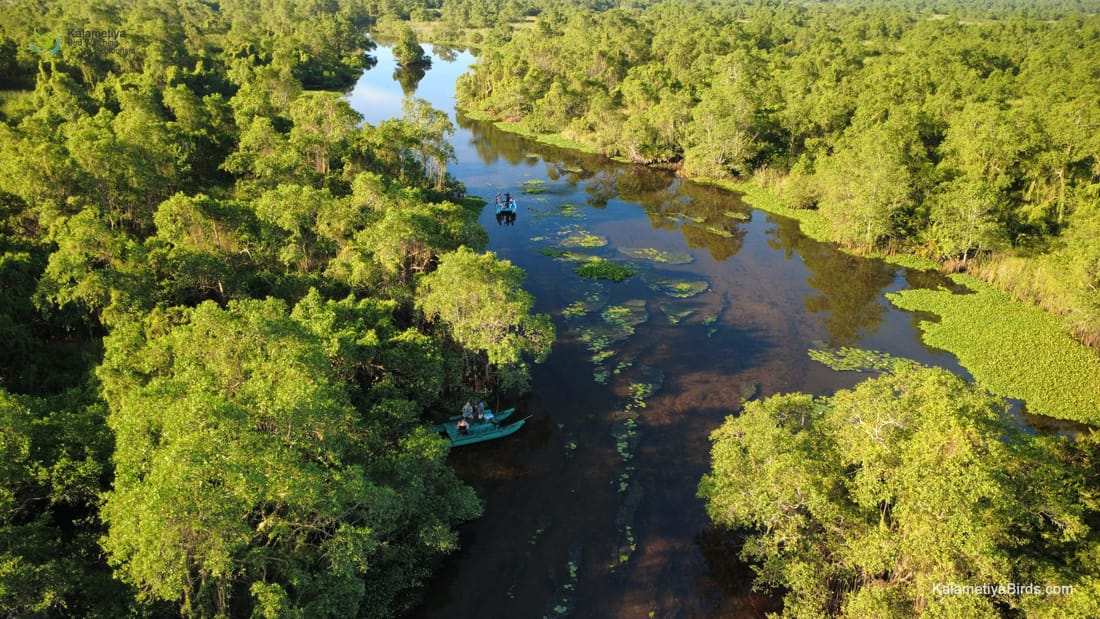 Kalametiya Bird Sanctuary — view 2