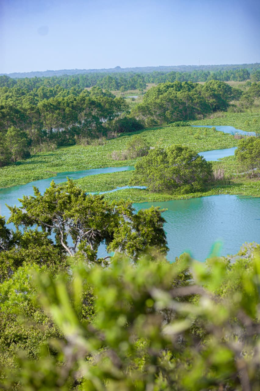 Kalametiya Bird Sanctuary — view 3