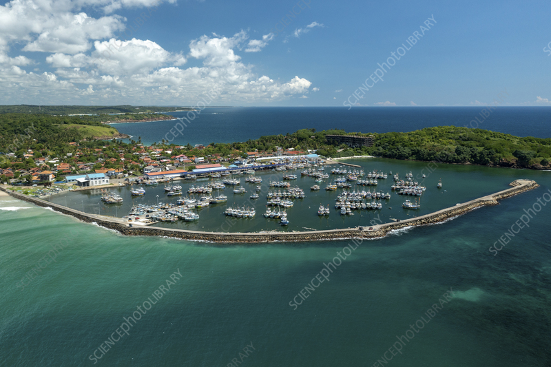 Kudawella Harbour