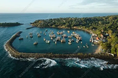Kudawella Harbour — view 3