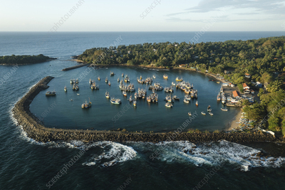 Kudawella Harbour — view 3