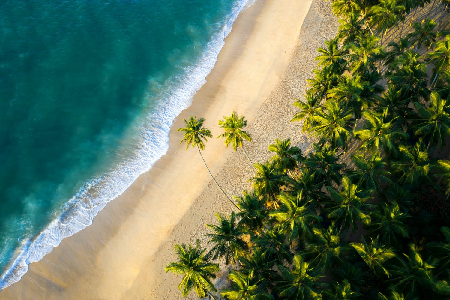 The wide golden sand and villa coastline at Tangalle